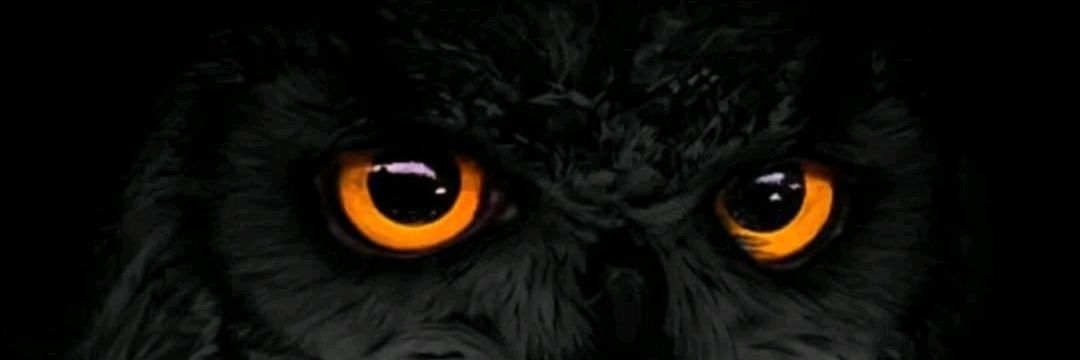 AdictTeran's profile banner image