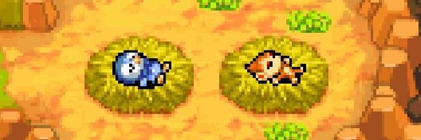 Kanioush Profile Banner