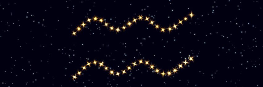 psychotic dog mom banner