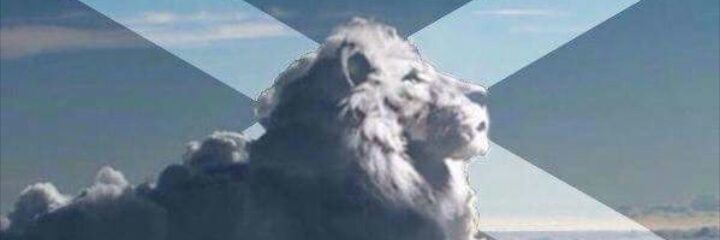 Billy53869586's profile banner image