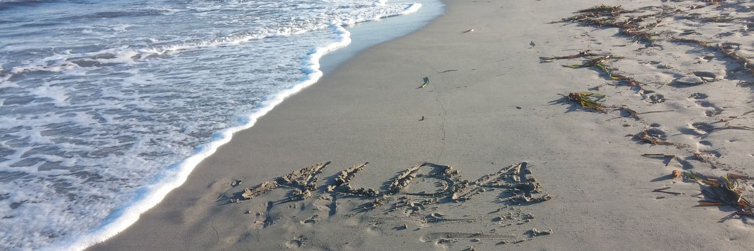 alba vîlchez banner