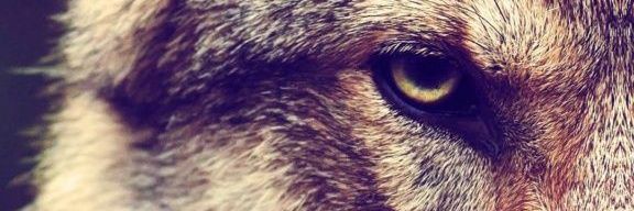 valverde_69's profile banner image