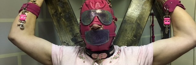 Bug Bear banner