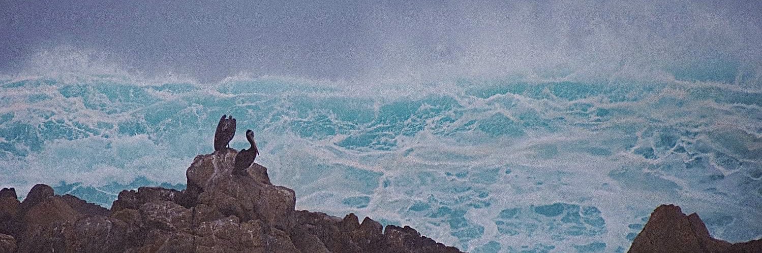 Catitameow's profile banner image