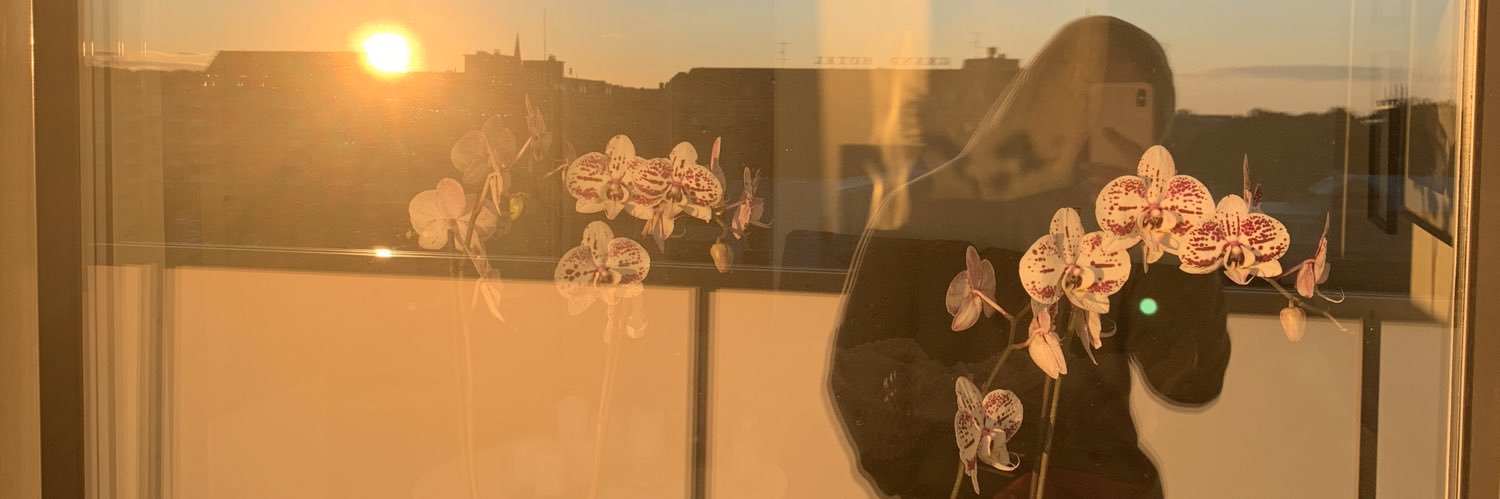 ericanilssonn's profile banner image