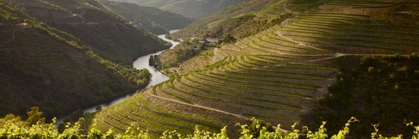 FonsecaPort Profile Banner