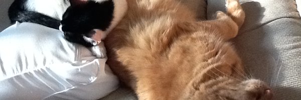 TamaraJQuick2 Profile Banner