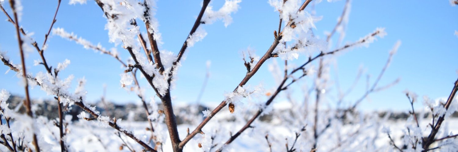 Maria Virginia Olano banner