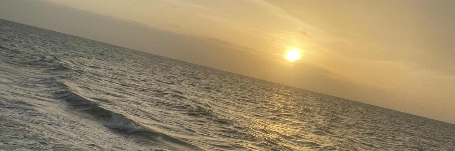 _MVG3's profile banner image