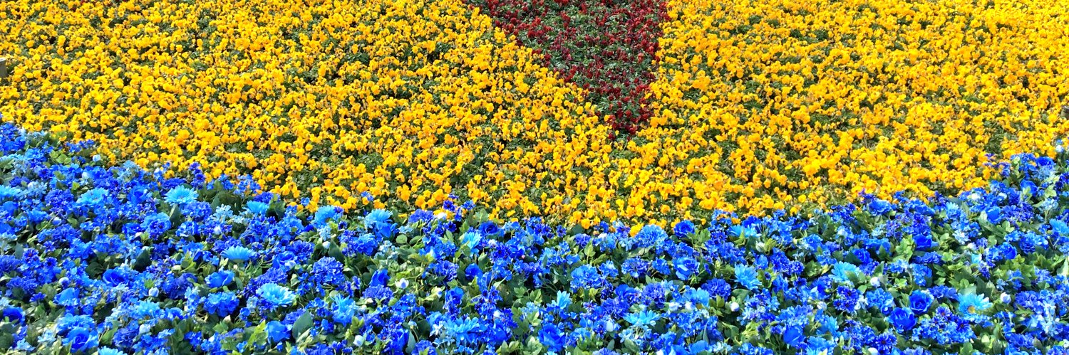 8233333's profile banner image
