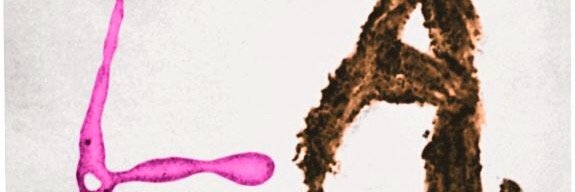 SenorJLF's profile banner image