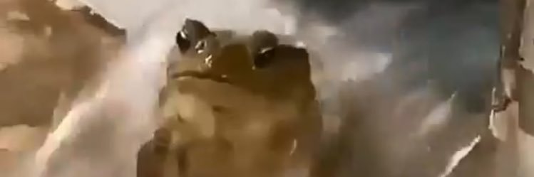 Maripecas7's profile banner image