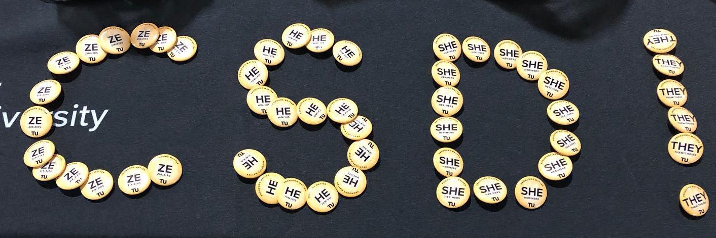 Towson Diversity banner