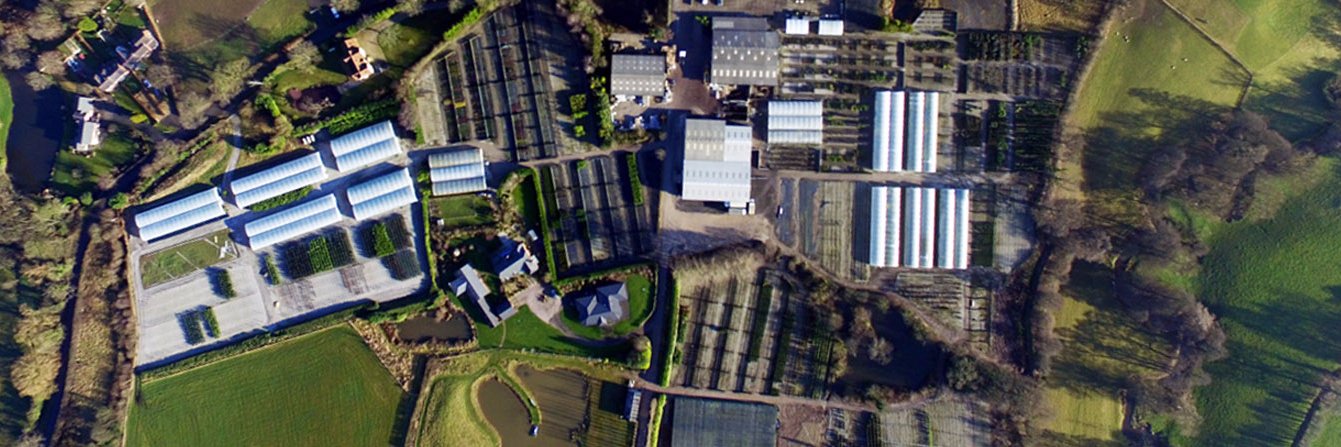 Grasslands Nursery banner