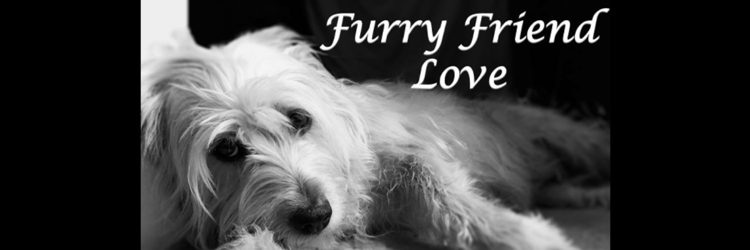 FurryFriendLove's profile banner image