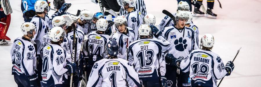 CougarsRSEQ's profile banner image