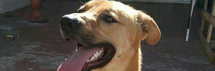 10399rojo's profile banner image