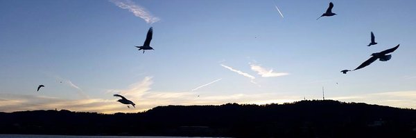 magdargamba Profile Banner