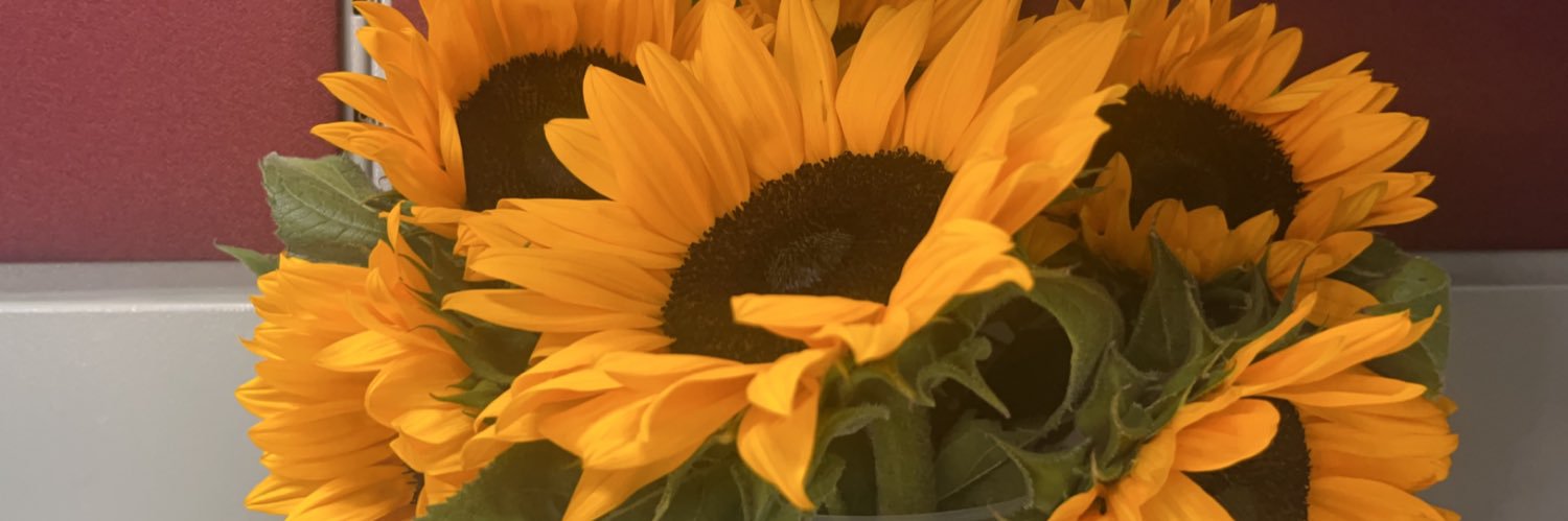 BeatriizLopez's profile banner image