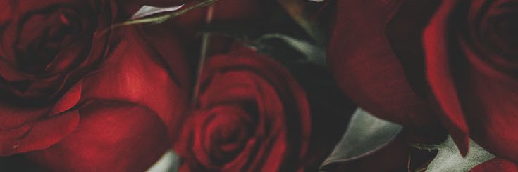charlenevd's profile banner image