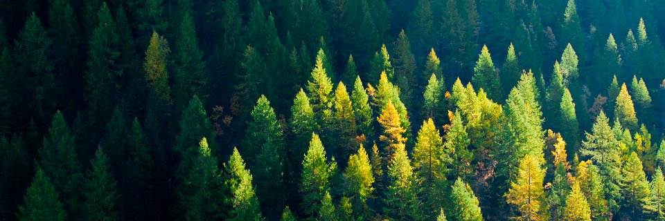 Sofi_DelCurto's profile banner image