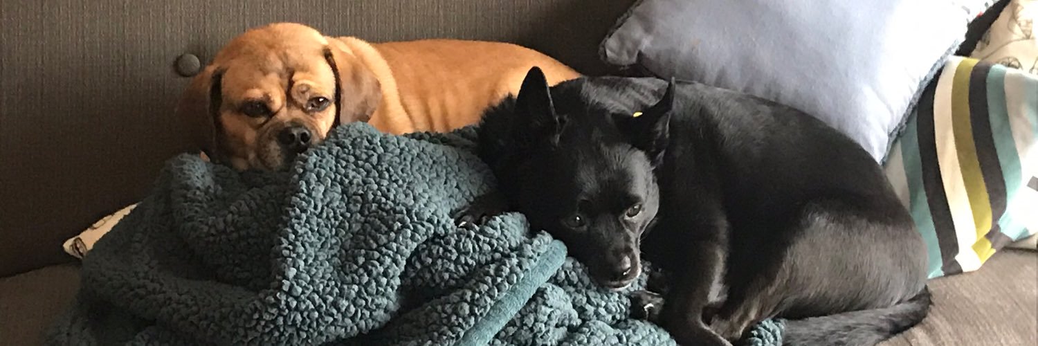 Heidiwantstruth's profile banner image