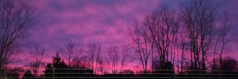 q_sumner's profile banner image