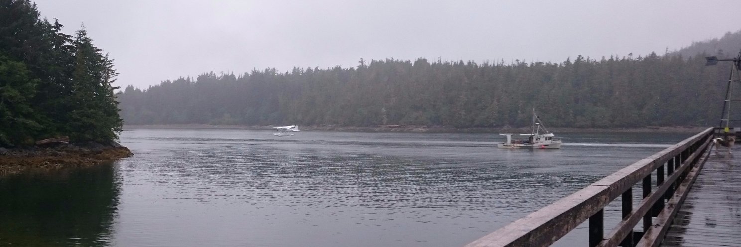 Connor Turvey banner