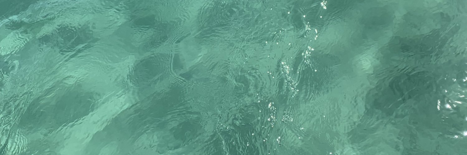 sofiavelaac's profile banner image