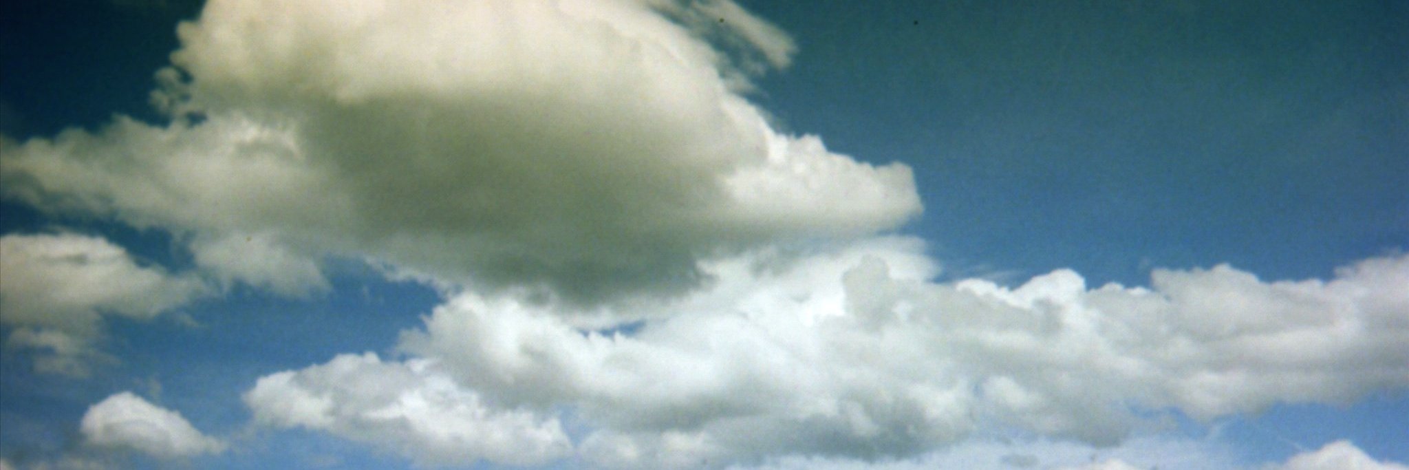 Kora Feder banner