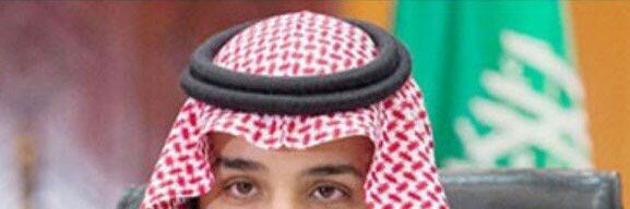 454_shaher's profile banner image