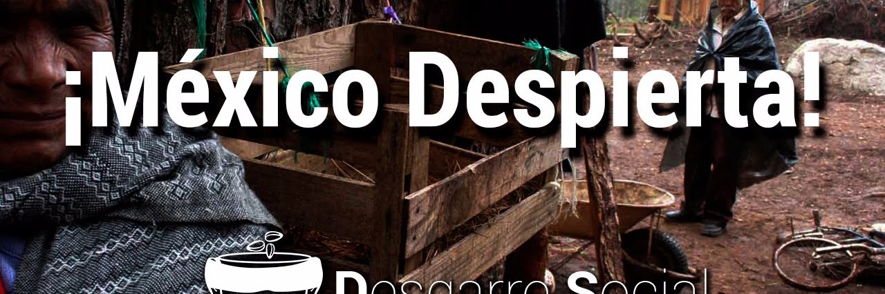 ReynosaSOS's profile banner image