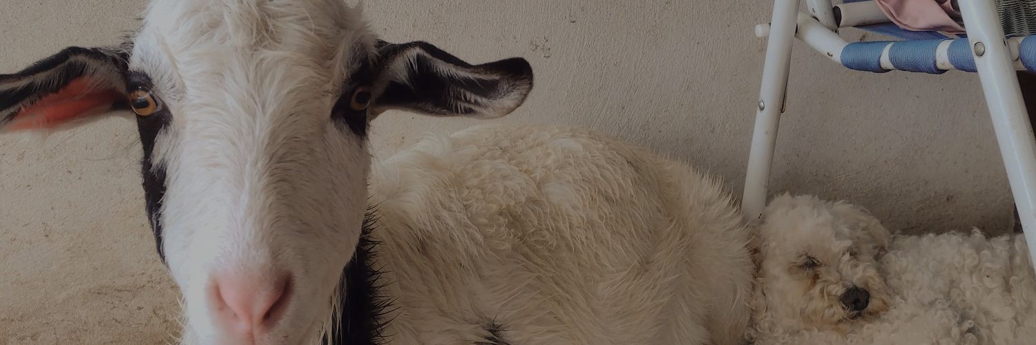 Mooreee_'s profile banner image