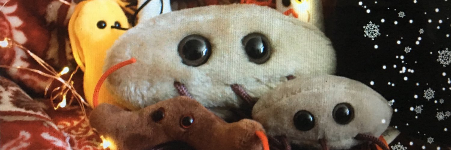 Mrsbenwyatt's profile banner image