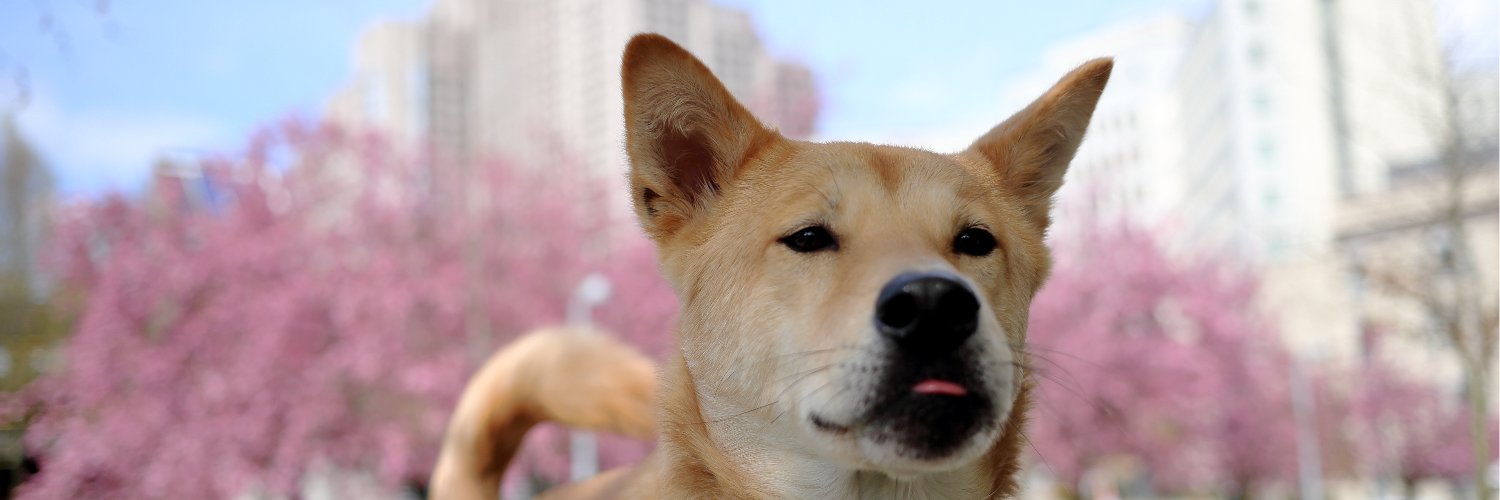iandmacb's profile banner image