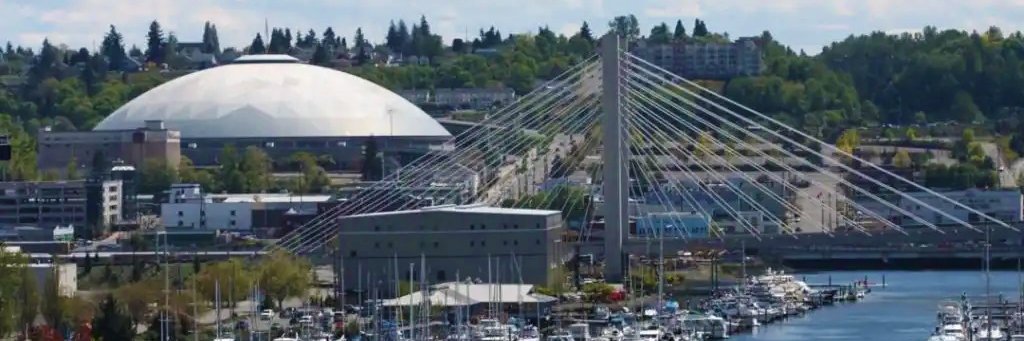 Indivisible Tacoma banner