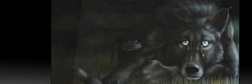 LostWolf321's profile banner image