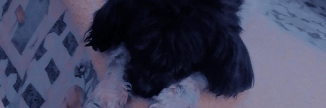 fnp28's profile banner image