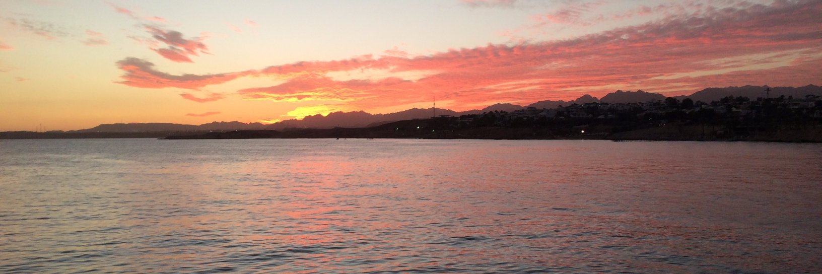 Iryna.Fesenko banner