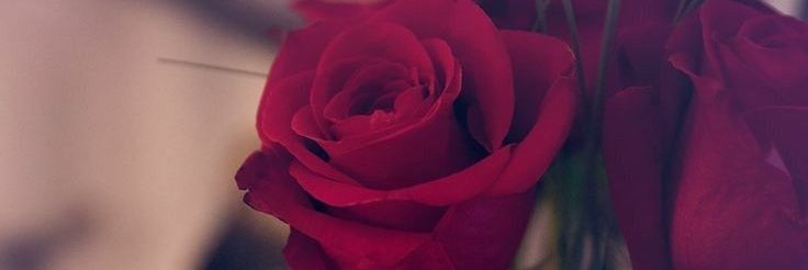 sweeterhart30's profile banner image