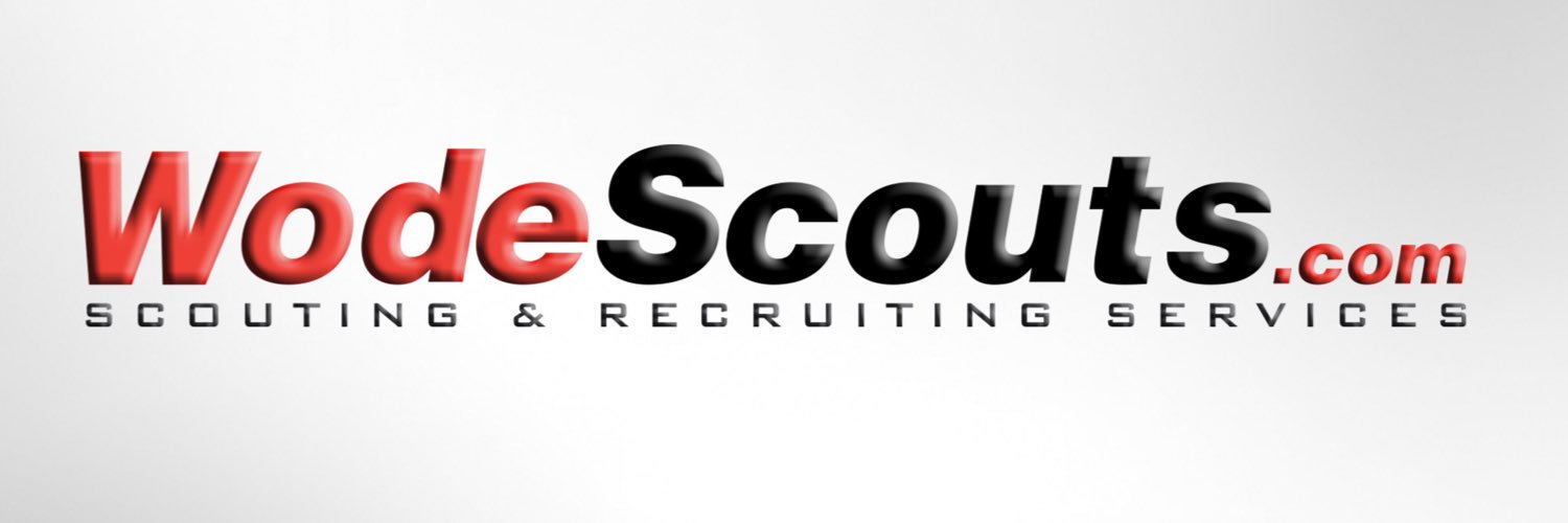 Wode Scouts banner