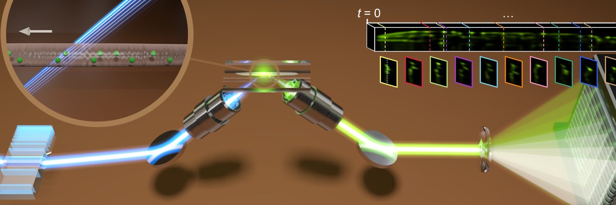 Adela Ben-Yakar banner