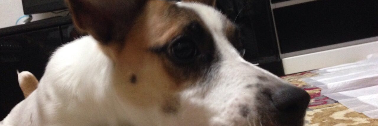 Le_Milky__'s profile banner image