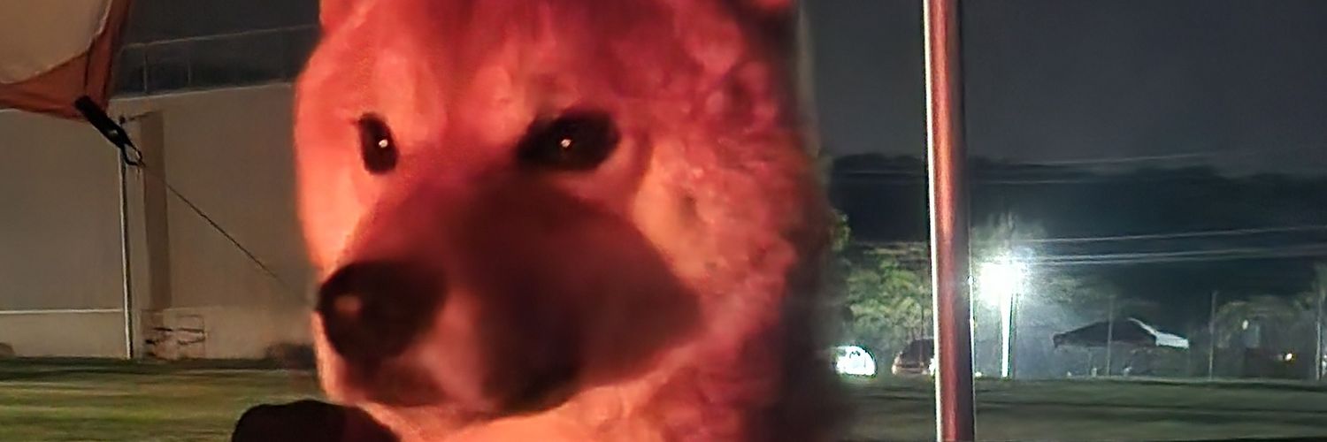Ghostdog banner