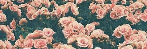 BLOSSOM🌼🌼 Profile Banner