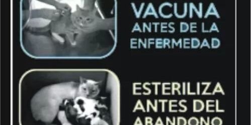 mvsermartinez's profile banner image