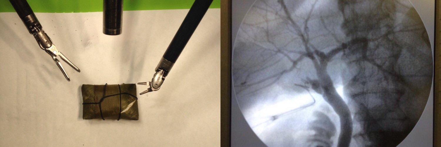 Liumariel Vegas Silva banner