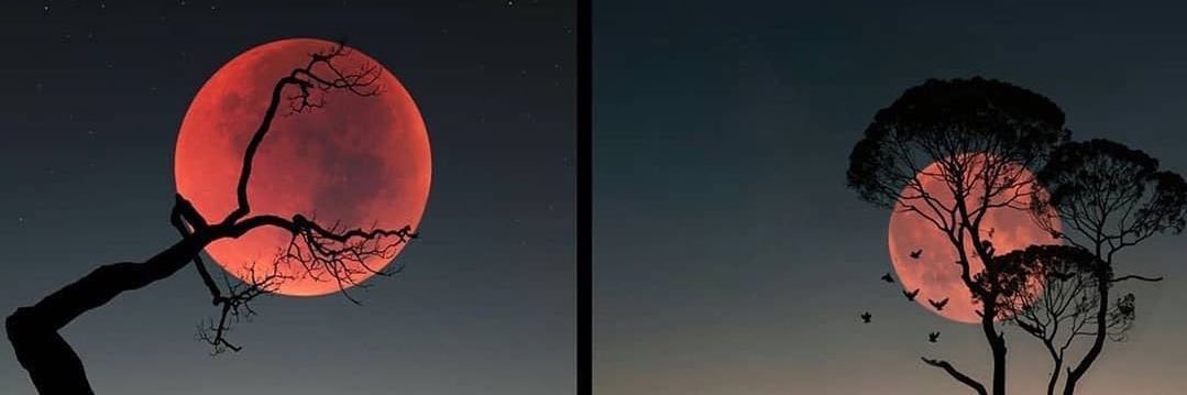 freegamejon's profile banner image