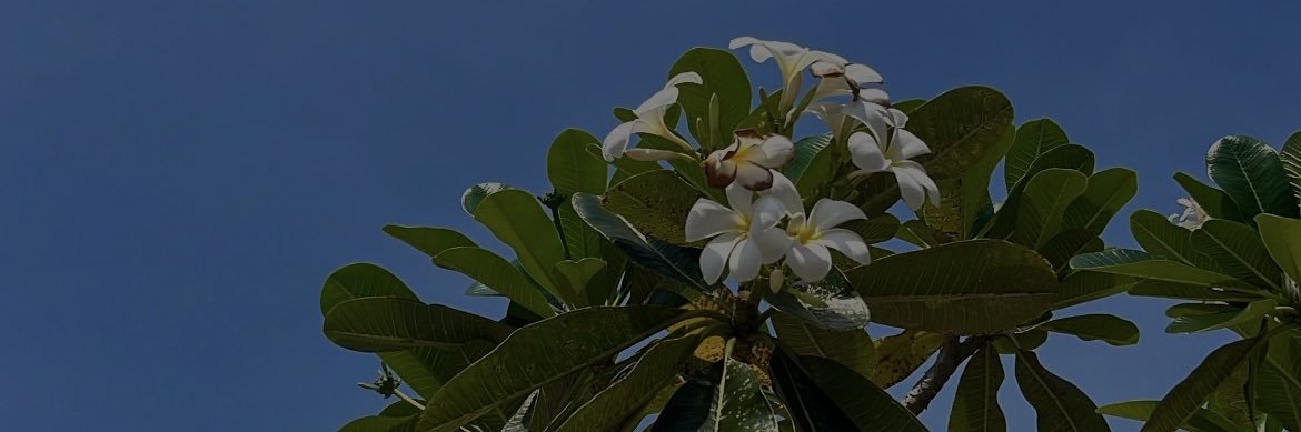 Indah Kefli banner