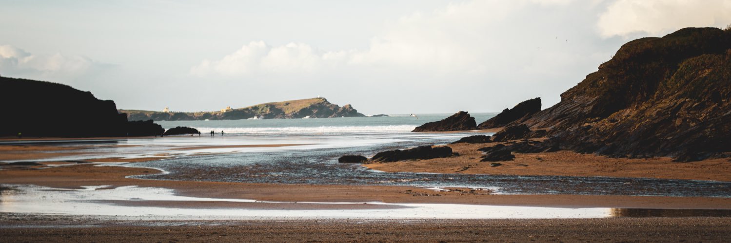 Amber Rose Mills banner